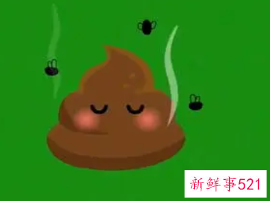 梦见屎弄到身上是什么意思