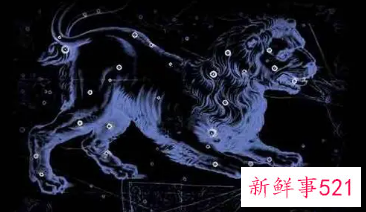 12星座事业最好的星座