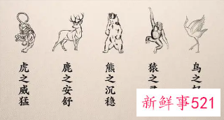 华佗五禽戏是什么