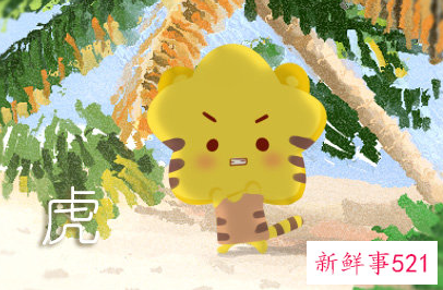 86年虎女一生婚姻状况