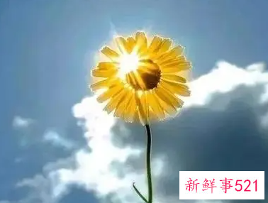 如何解脱心里的痛苦的句子