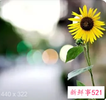 淡淡忧伤的说说