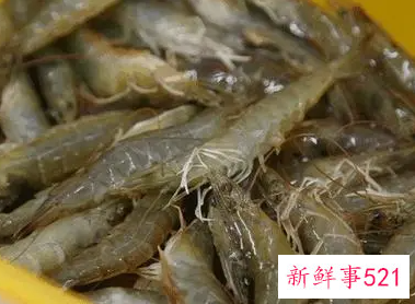 孕妇梦见虾和鱼是什么意思