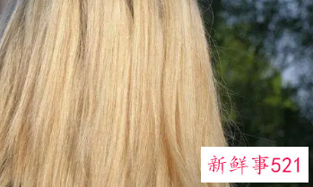 梦见头发长了的寓意