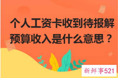 待报解预算收入是什么意思
