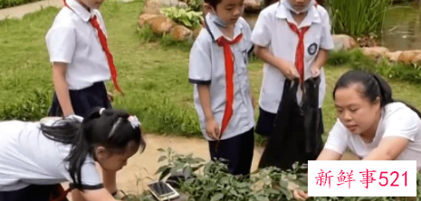 培养学生的劳动意识