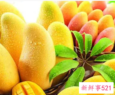 孕妇梦到芒果是什么意思