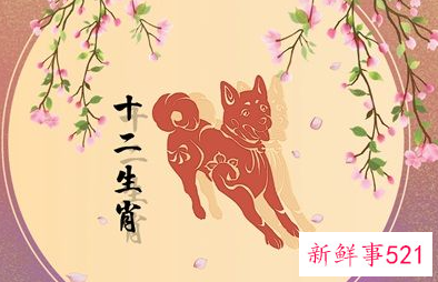 属狗一生最忌讳什么颜色