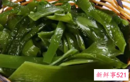 海白菜是什么