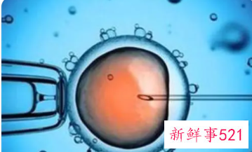 人工受精后有哪些反应