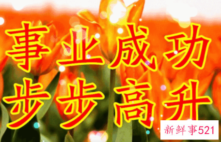 祝福事业顺利的话