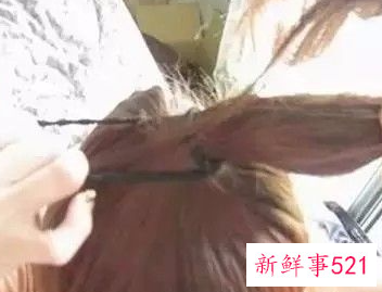 显脸瘦的发型简单扎法