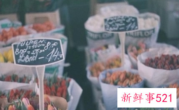 表达自己很普通的句子