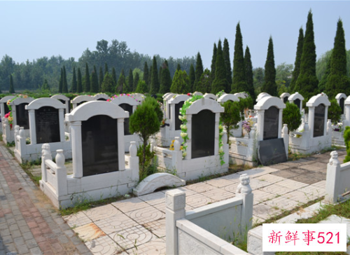 梦见在陵园走代表什么