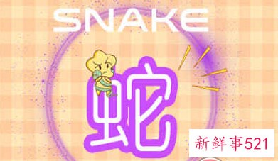 男人属马女人属蛇能不能结婚