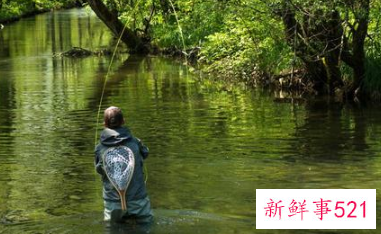 为什么中年男人喜欢钓鱼