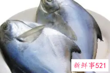鲳鱼和什么食物相克