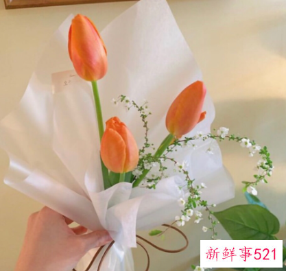 七夕表白礼物送什么花