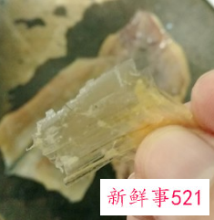 猪骨煲什么汤清热润肺