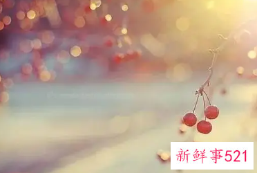 婚姻格言经典短句