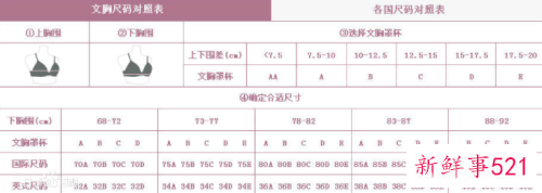 女人的胸罩都有多大码