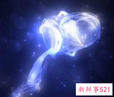 水瓶男会随便睡异性吗