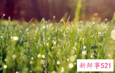 怎么去眼袋泪沟