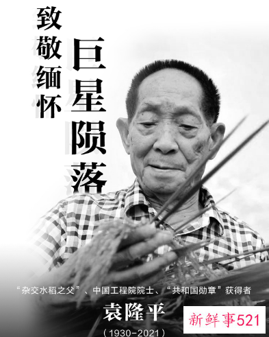 今日袁隆平院士在长沙下葬