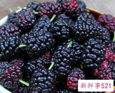 桑葚干的功效与作用和各种吃法