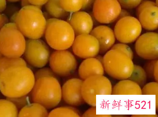 金桔的功效与营养价值