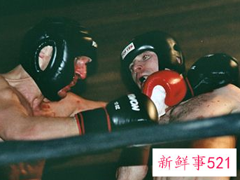 孕妇梦见和狐狸打架