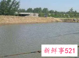 鱼塘钓位选择口诀