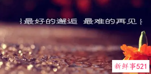 追一个陌生的女孩短句