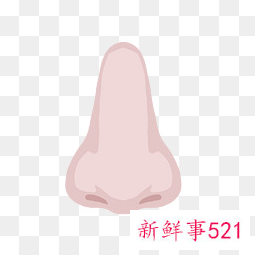 怎么让鼻子变高变挺的动作