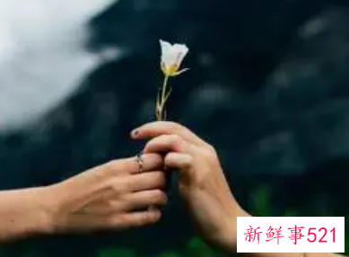 家庭婚姻感悟经典句子