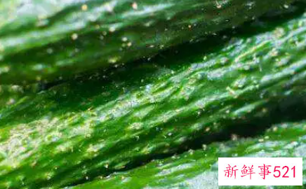 黄瓜生吃和熟吃的功效