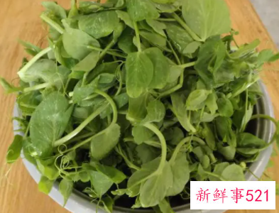豌豆尖保鲜的方法