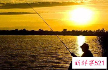 为什么中年男人喜欢钓鱼