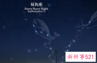 双鱼男适合什么样的工作