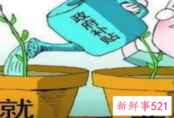 应届毕业生创业补助金