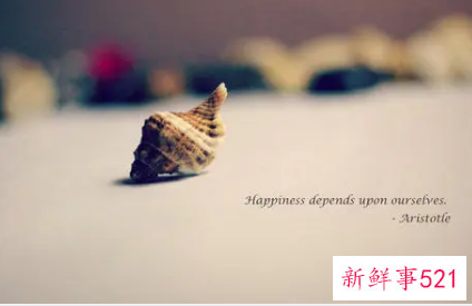 表达自己很普通的句子