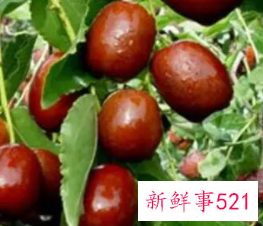 梦见吃枣子有什么征兆