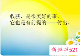 行业付出心态的感悟