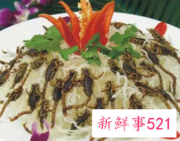 吃蝎子有什么好处坏处