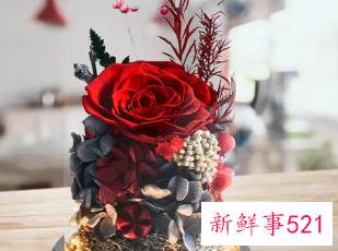 元旦送啥礼物给女朋友