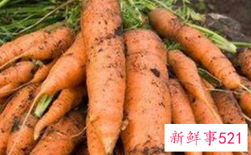 大量胡萝卜保鲜方法