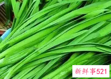 韭莱的功效与作用