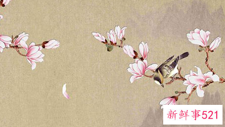 红色内裤招不招桃花运