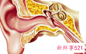 耳朵像隔了一层膜闷闷的