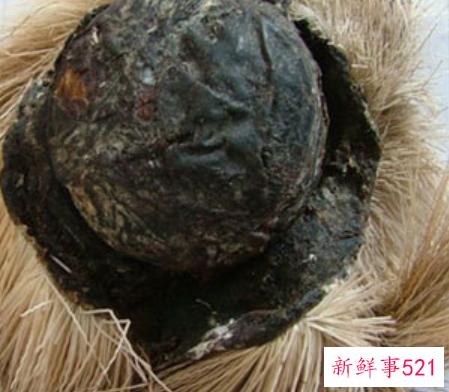 麝香会导致不孕吗